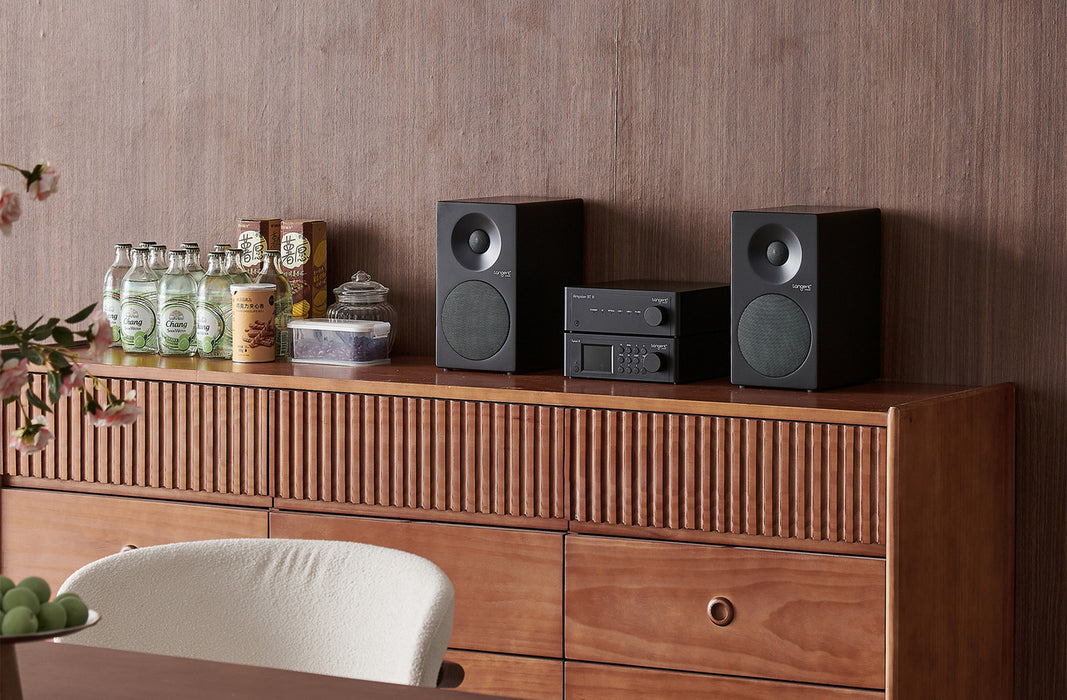 Tangent Tuner III Internet, DAB/DAB+ and FM Radio