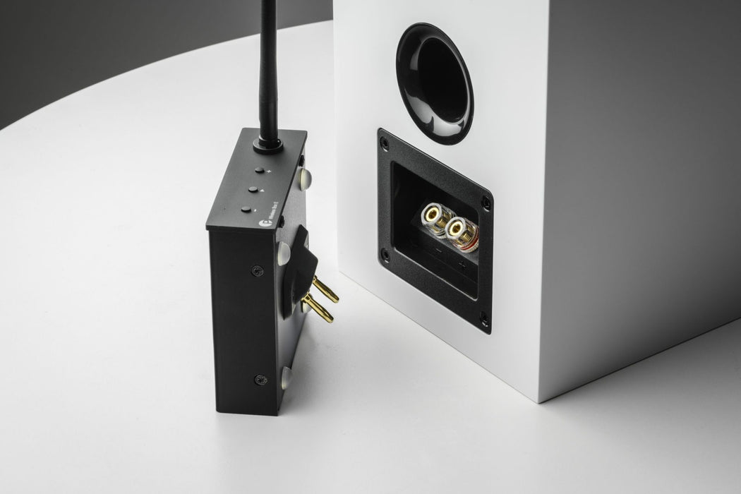 Pro-Ject Wireless Box E in use